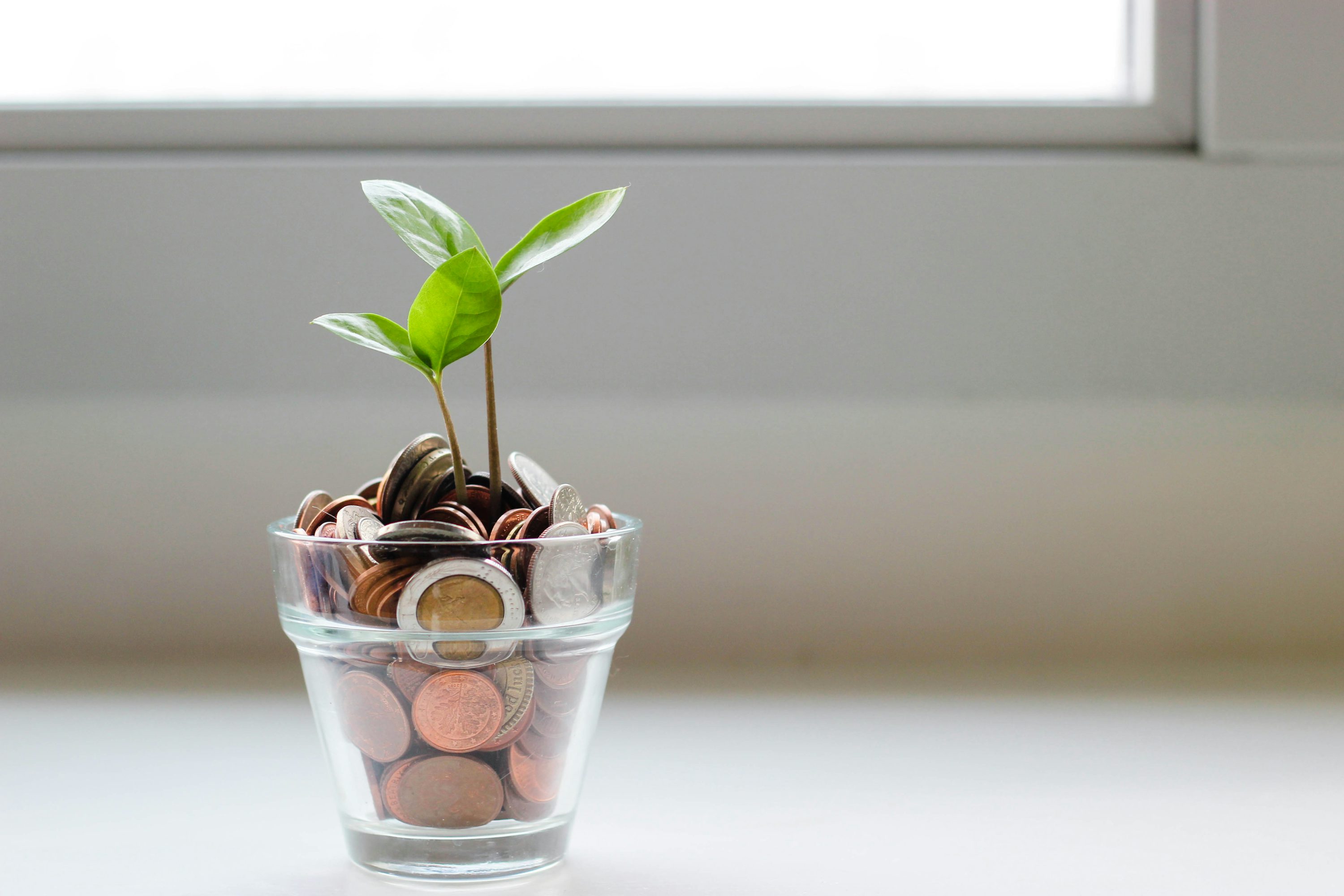 5 Smart Money Moves Every Member Should Make This Year
